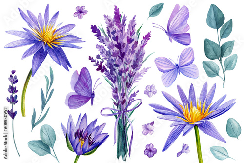 Flowers set on an isolated white background. Watercolor illustrations. Purple lotus, lavender, eucalyptus and butterfly