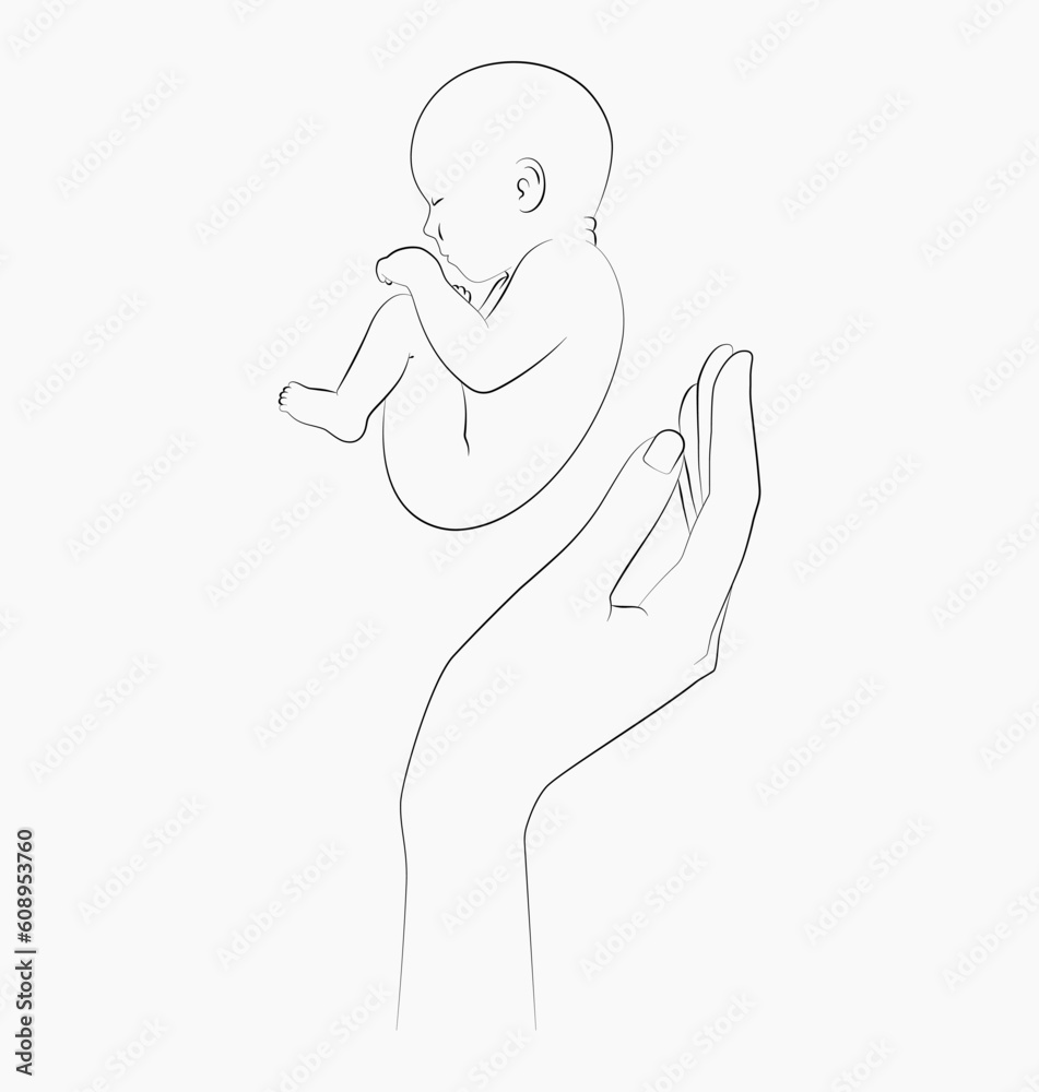 A hand holding a baby. Vector image. A hand holding a baby. Vector image.