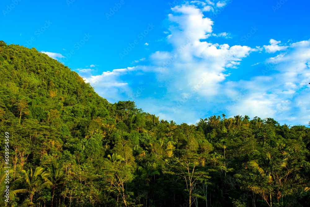 Tranquil forest landscape with hills, trees, and blue sky Tranquil forest landscape with hills, trees, and blue sky