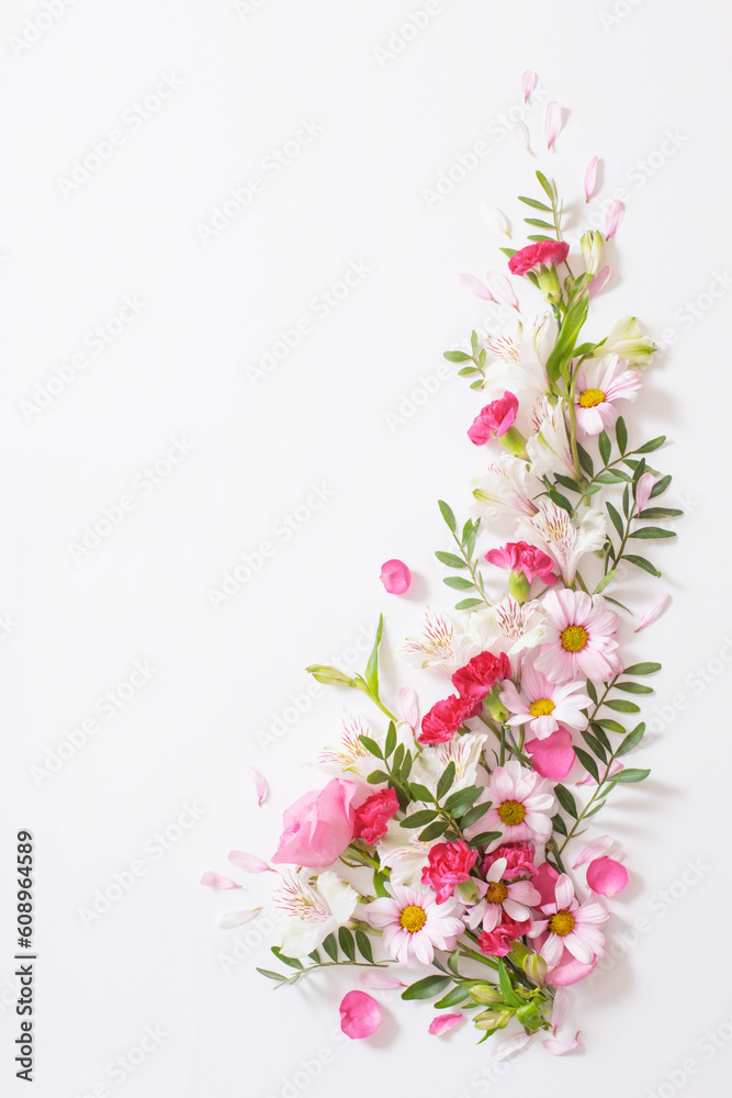 beautiful pink and white flowers on white background