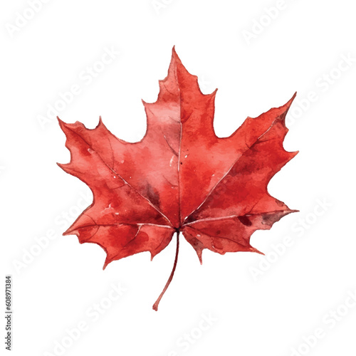 Beautiful watercolor red maple leaf Canada day white background.