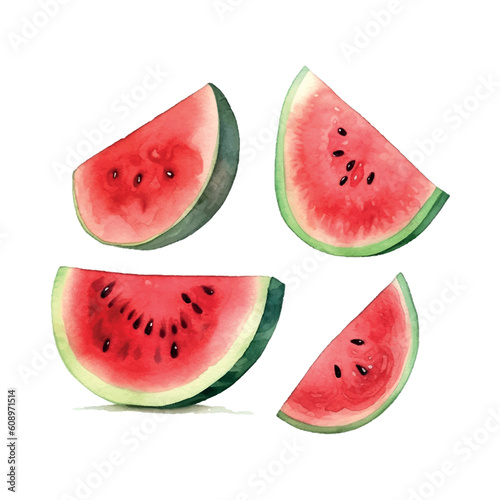 Vintage watermelon watercolor, great design for any purposes