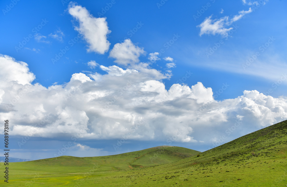 Great Sky View
Great Sky View