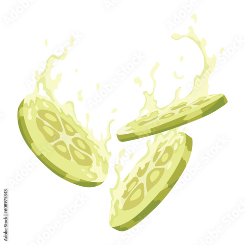 Homemade pickled cucumber. Clip-art of marinated food for packaging, label, menu, signboard or showcase. Fermented veggies, crunch gherkin with salt. Healthy vegetarian food