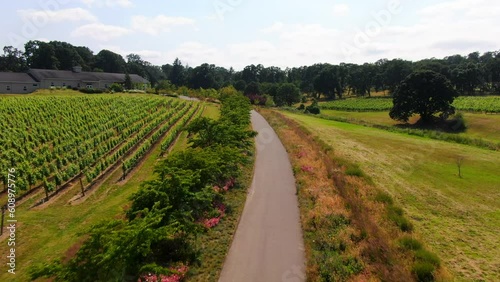 Aerial drone cinematic winery vineyard Oregon wine country Left Coast Trinity Legacy Johan Stangeland Salem Portland Bend Pacific City grapes on vine spring summer green entrance backward movement photo