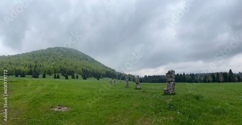 Matic poljana in Gorski kotar, Croatia photo