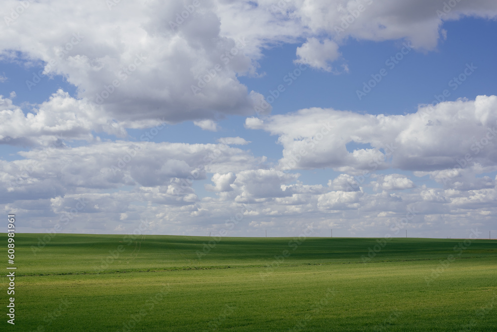 Beautiful natural scenic panorama green field and blue sky with clouds on horizon Beautiful natural scenic panorama green field and blue sky with clouds on horizon