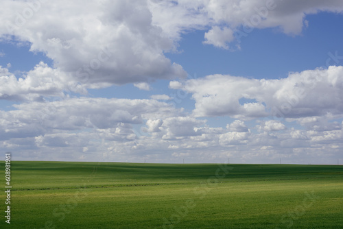 Beautiful natural scenic panorama green field and blue sky with clouds on horizon