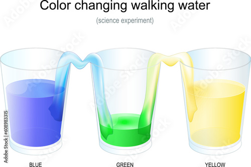 Color Changing Walking Water. Science Experiment