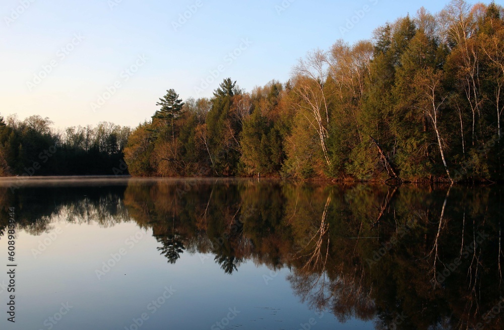 Fototapeta premium Serene Splendor: Exploring Nature's Tranquil Beauty