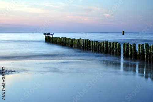 Seagulls sitting on a wooden breakwater on a sandy beach on the island of Wolin