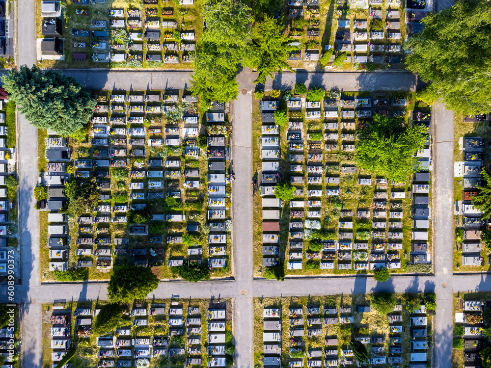 Aerial view of the cemetery. Photo from a drone. Tombs, alleys, park.