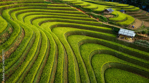 Rice fields on terraced of mu cang chai,  rice fields prepare the harvest at northwest vietnam ,yenbai vietnam. photo