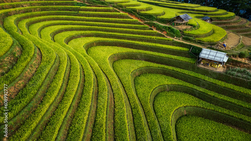 Rice fields on terraced of mu cang chai,  rice fields prepare the harvest at northwest vietnam ,yenbai vietnam.