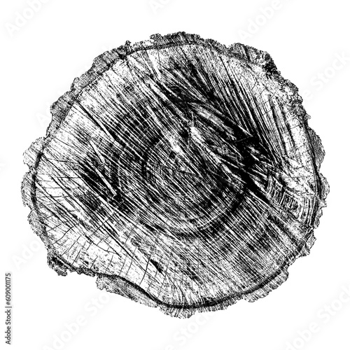 Wood texture cross section of tree rings. Cut slice of wooden stump isolated on white. Textured surface with rings and cracks. Black background made of hardwood from the forest. Vector illustration.