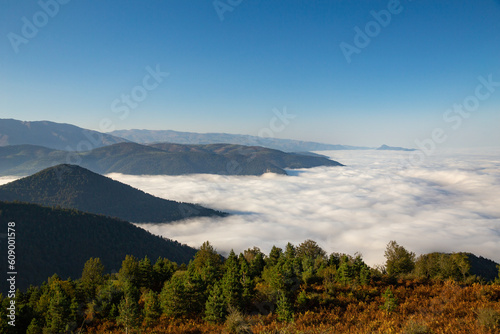 Hyrcanian Forest in Talesh Mountain Range, Gilan, Iran photo