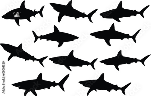 Set of shark silhouettes. Shark icons set. Vector illustration.