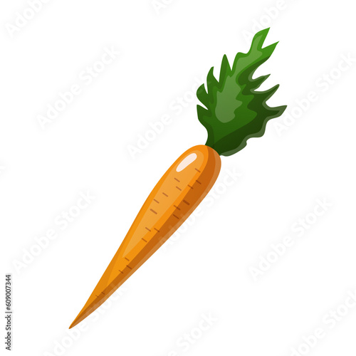 carrot Vector illustration