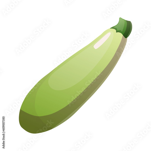 Vegetable marrow illustration