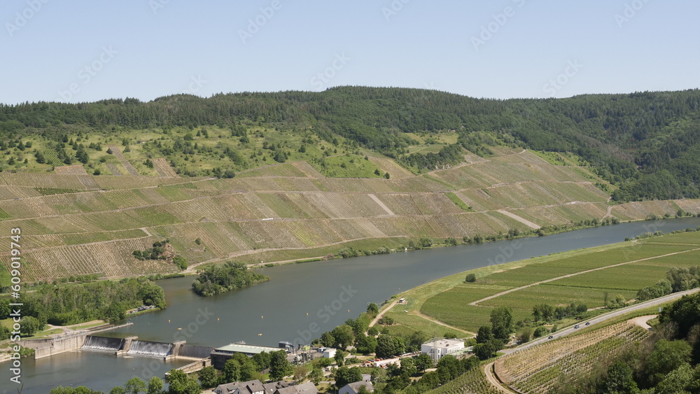 Fototapeta premium An der Mosel bei Detzem