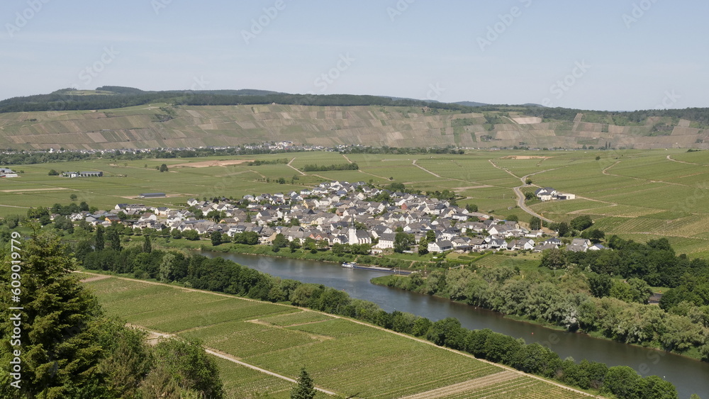 Obraz premium Moseltal bei Detzem