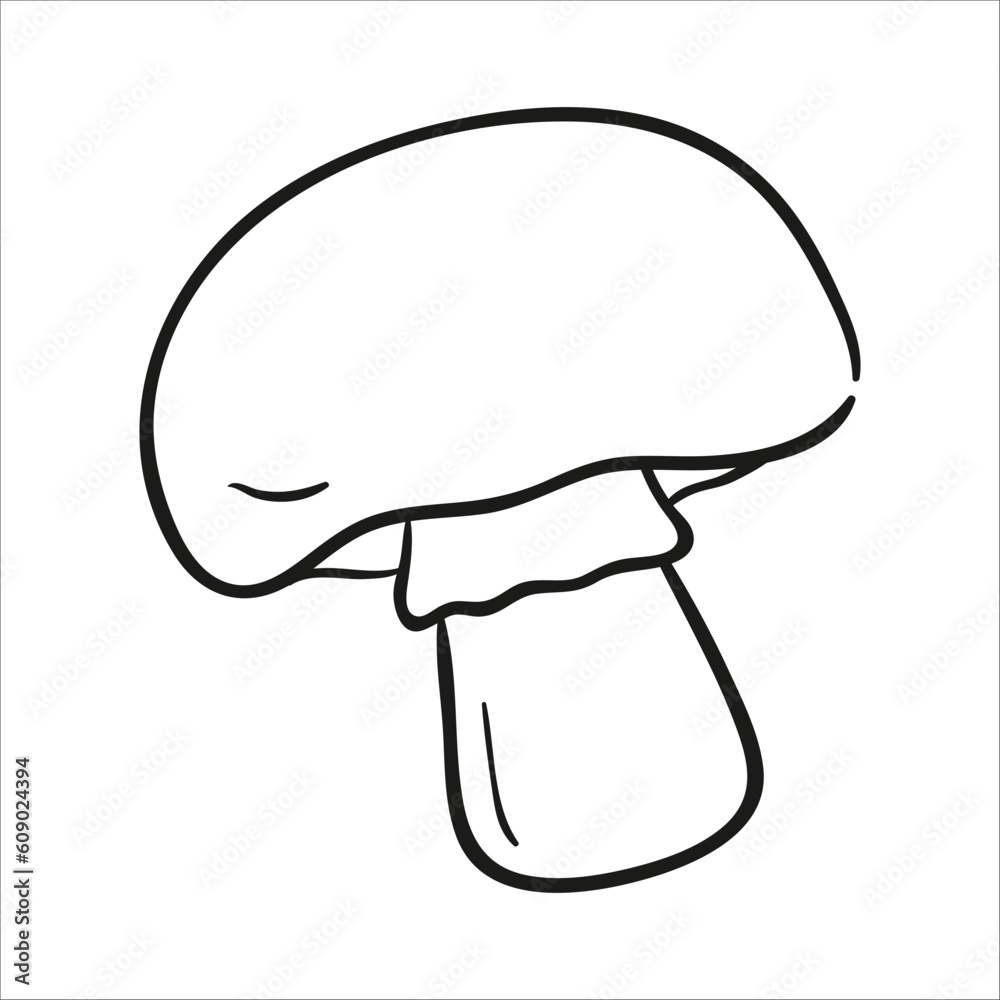 mushroom. Hand drawn vector illustration mushroom. Hand drawn vector illustration