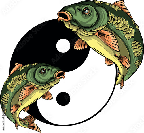 vector illustration of two carp fishes in the circle of yin yang symbol.