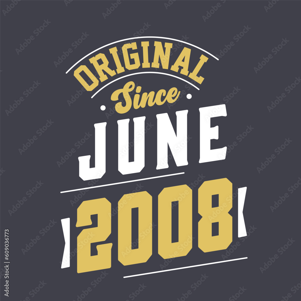 Original Since June 2008. Born in June 2008 Retro Vintage Birthday