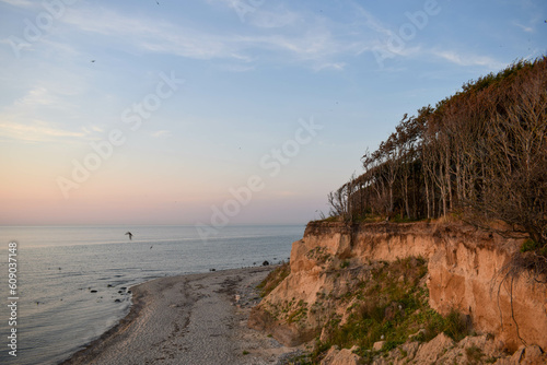 Landscape picture of a ocean cliff during sunset in the baltic sea coast while seagulls and swallows fly around