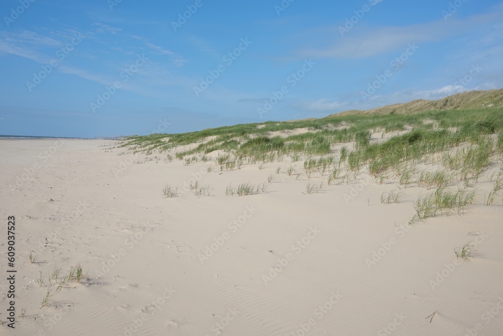 sand dunes on the beach