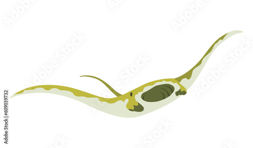 Stingray fish. Sea animal floating underwater. Cute cartoon stingray. Adorable sea creature isolated on white background. Wildlife, nature concept. Vector illustration of manta ray
