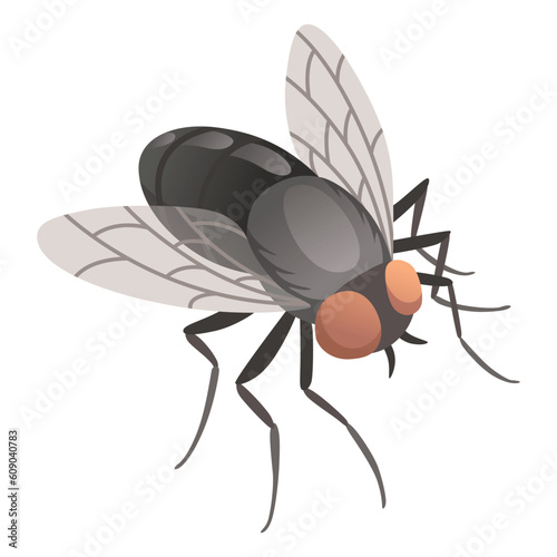 Housefly insect icon. Wildlife symbol in cartoon style. Scary insect. Graphic design element. Entomology closeup color vector illustration isolated on white background