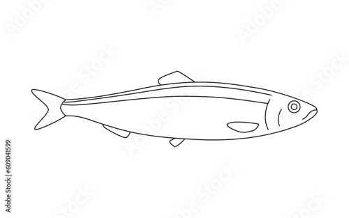 Herring fish art line, clupea harengus, seafood and underwater color animal. Water delicacy, gourmet. Fishing. Coloring for children. Vector illustration isolated