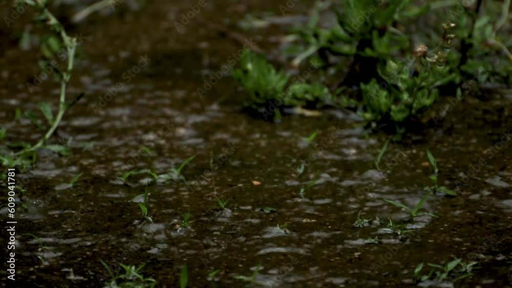 地面の水たまりに落ちる雨粒 地面の水たまりに落ちる雨粒