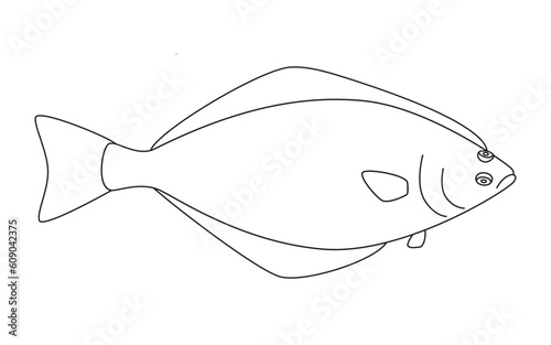 Halibut fish art line, flatfish seafood and underwater color animal. Water delicacy, gourmet. Fishing halibut. Coloring for children. Vector illustration isolated