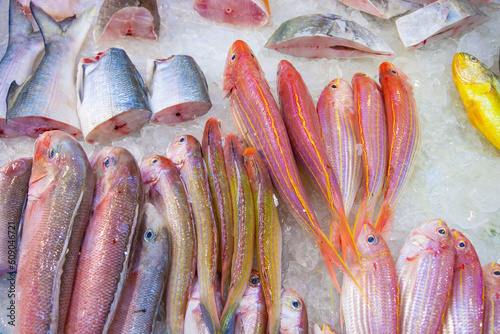Canvas Print whole fresh fishes are offered in the fish market Fa Yuen Street Market in Hongk