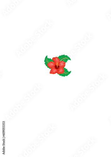 abstract artistic creative detailed red hibicus flower photo