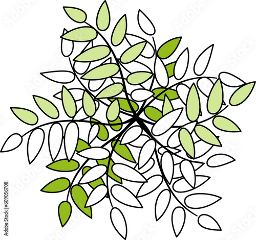 Tree or plant top view for landscape design. Icon colored tree for architectural map, plan. Green space. Element for design project of Green spaces	