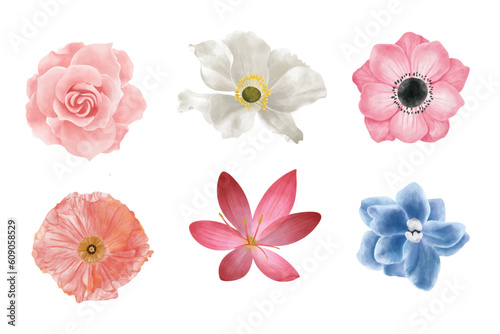 set of flowers element. watercolor flower collection. spring flower