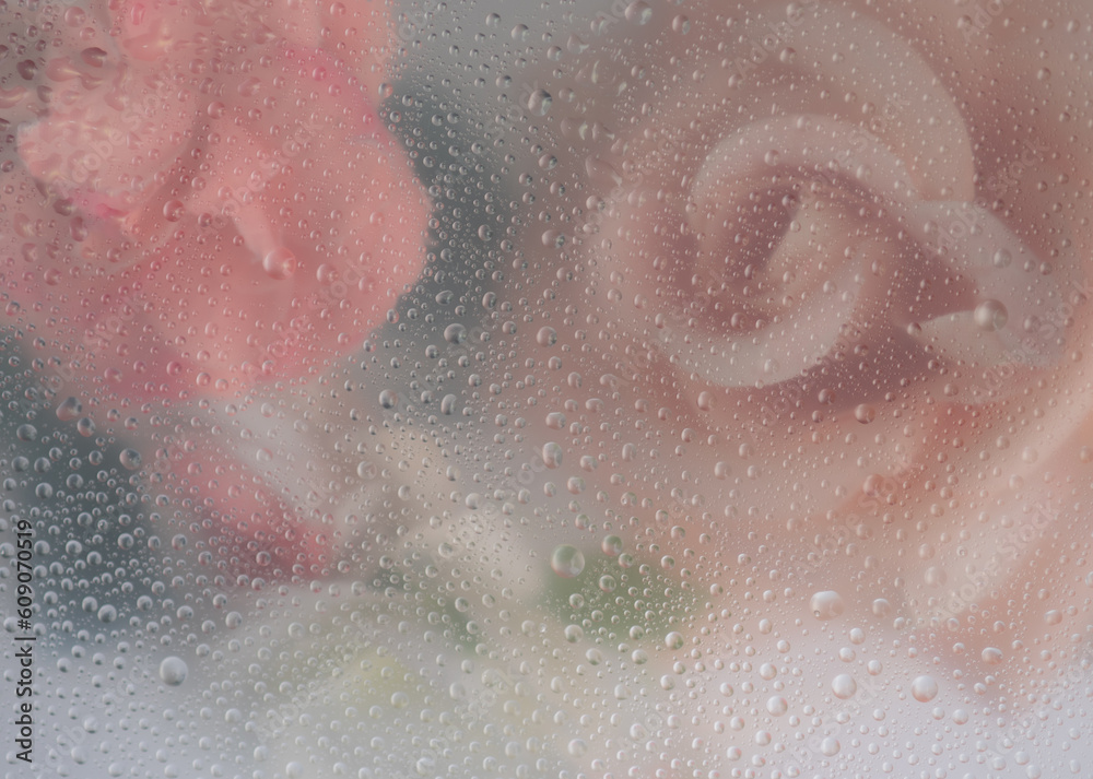 Fototapeta premium Pink rose flowers arrangement behind a white matte glass blurry with water drops,soft focus,DOF- depth of field