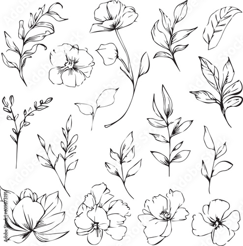 Botanical artwork decor, vector set of botanical leaf simple outline sketch doodle hand drawn illustration, botanical drawings of flowers, botanical drawings of wildflowers, botanical drawings.
