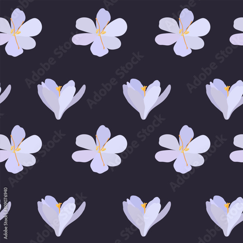 Collection of crocuses and saffrons. A set of spring purple, yellow and white crocuses. Vector illustration of beautiful multicolored flowers