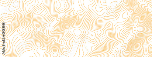 Abstract topographic wavy white and orange curve line background. Topography map pattern, Geographic curved relief. Topographic lines background. Vector illustration.