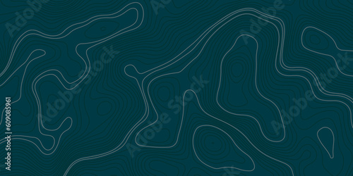 Abstract topographic wavy blue curve line background. Topography map pattern, Geographic curved relief. Topographic lines background. Vector illustration.