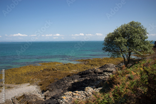 Paysage de Jersey