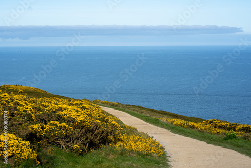 Photography View of green heather fields, the Baily Lighthouse and the Irish Sea seen from t