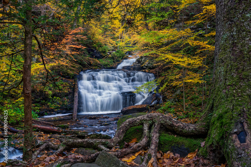 Early morning blue hour in autumn on the waterfall trail at Ricketts Glen State Park - Pennsylvania -  Mohican Falls 