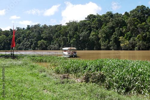 Boot auf Fluss im tropischen Regenwald photo