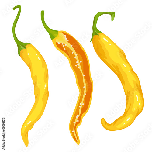 Yellow hot chili pepper. Vector graphics.