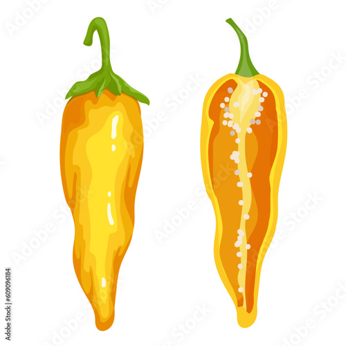 Yellow hot chili pepper. Vector graphics.